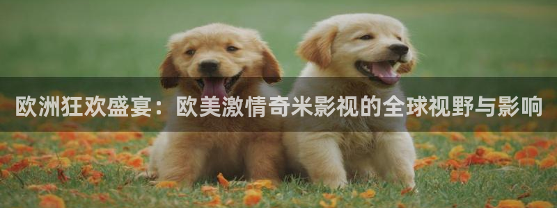 七七影院在线观看免费播放电视剧：欧洲狂欢盛宴：欧美激情奇米影视的全球视野与影响