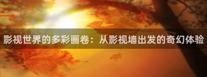 七七影视大全官网：影视世界的多彩画卷：从影视墙出发的奇幻体验