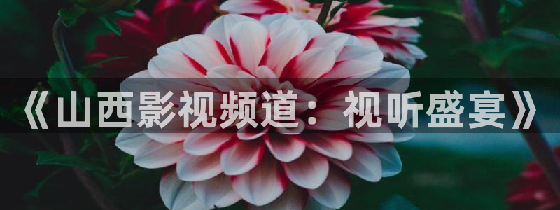 七七影视网：《山西影视频道：视听盛宴》