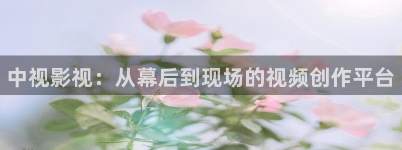 七七影视大全在线播放：中视影视：从幕后到现场的视频创作平台